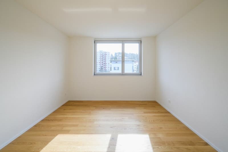 Very beautiful 3.5-room apartment, completely new with balcony-loggia (3)