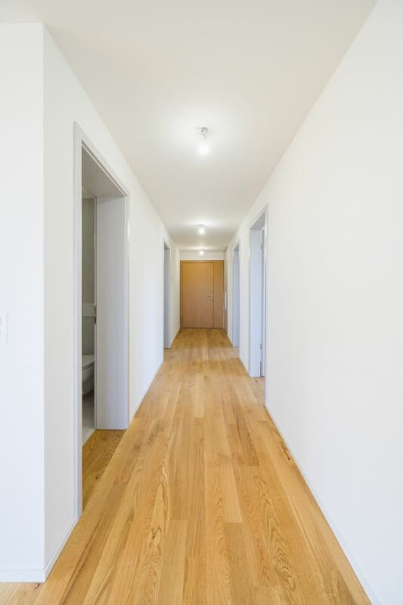 Very beautiful 3.5-room apartment, completely new with balcony-loggia (4)