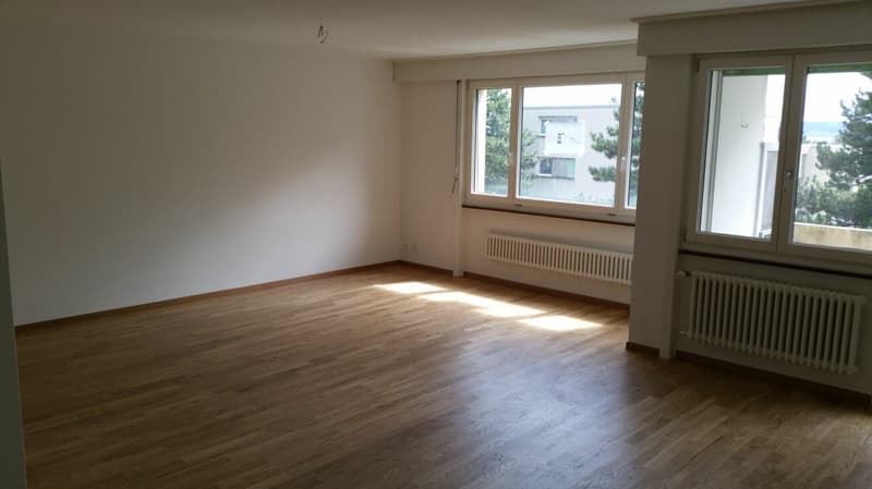 Bel appartement de 3.5 pièces avec balcon spacieux ! (2)