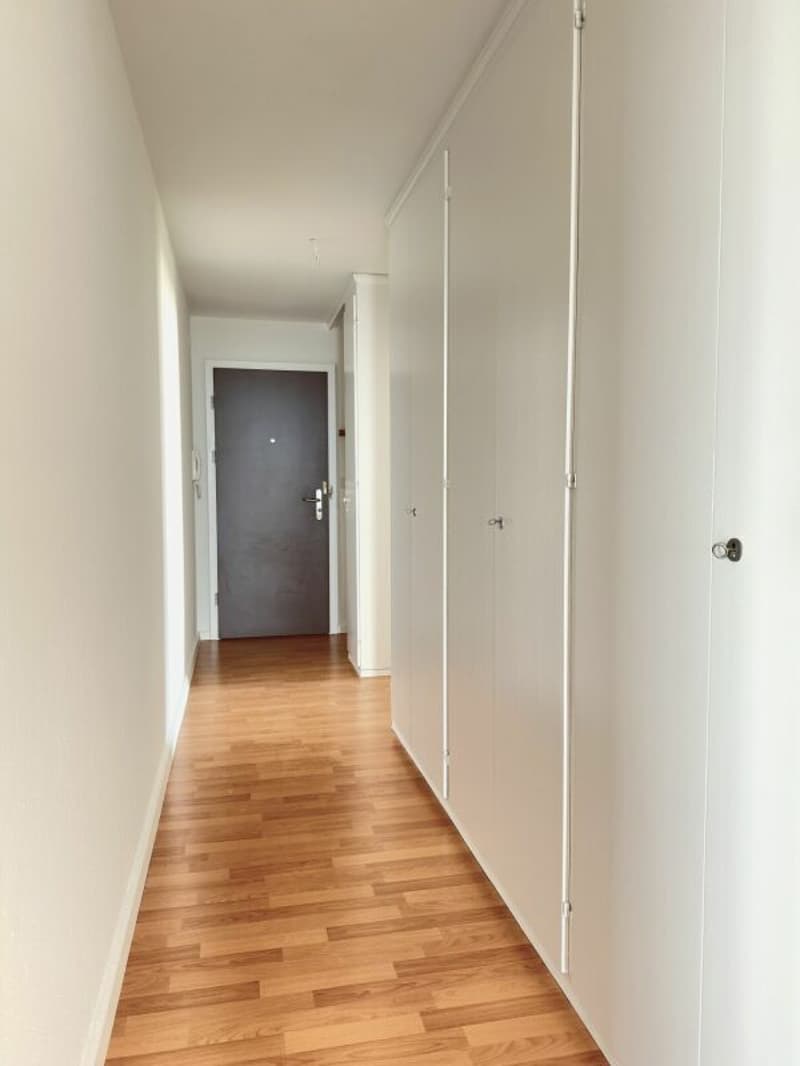 Bel appartement de 4.5 pièces dans quartier calme ! (8)