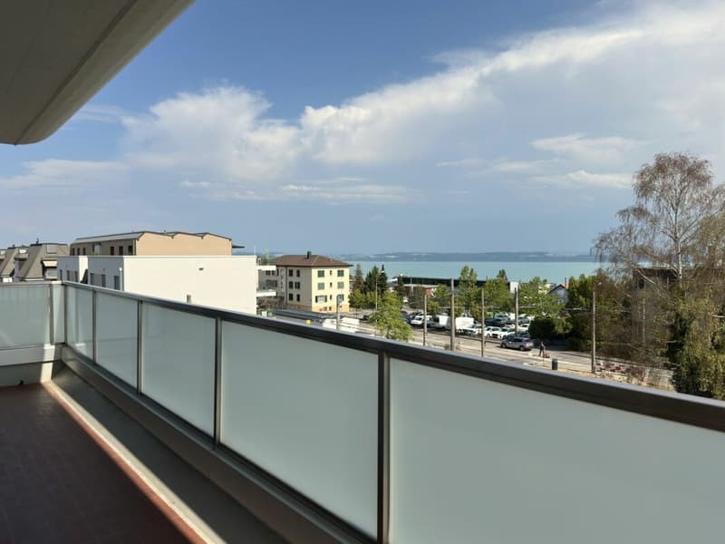 Bel appartement de 4.5 pièces dans quartier calme ! (1)