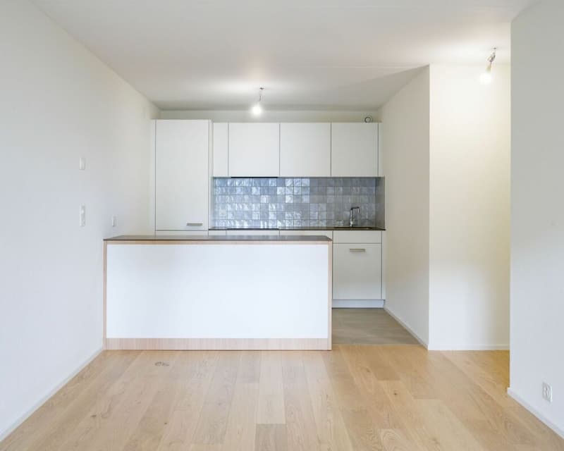 Appartement de 2.5 pièces entièrement neuf (1)