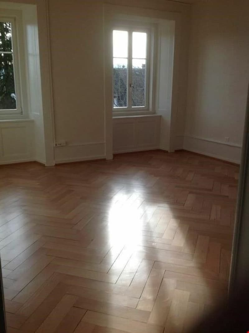 Charmant 2 pièces dans quartier calme (5)