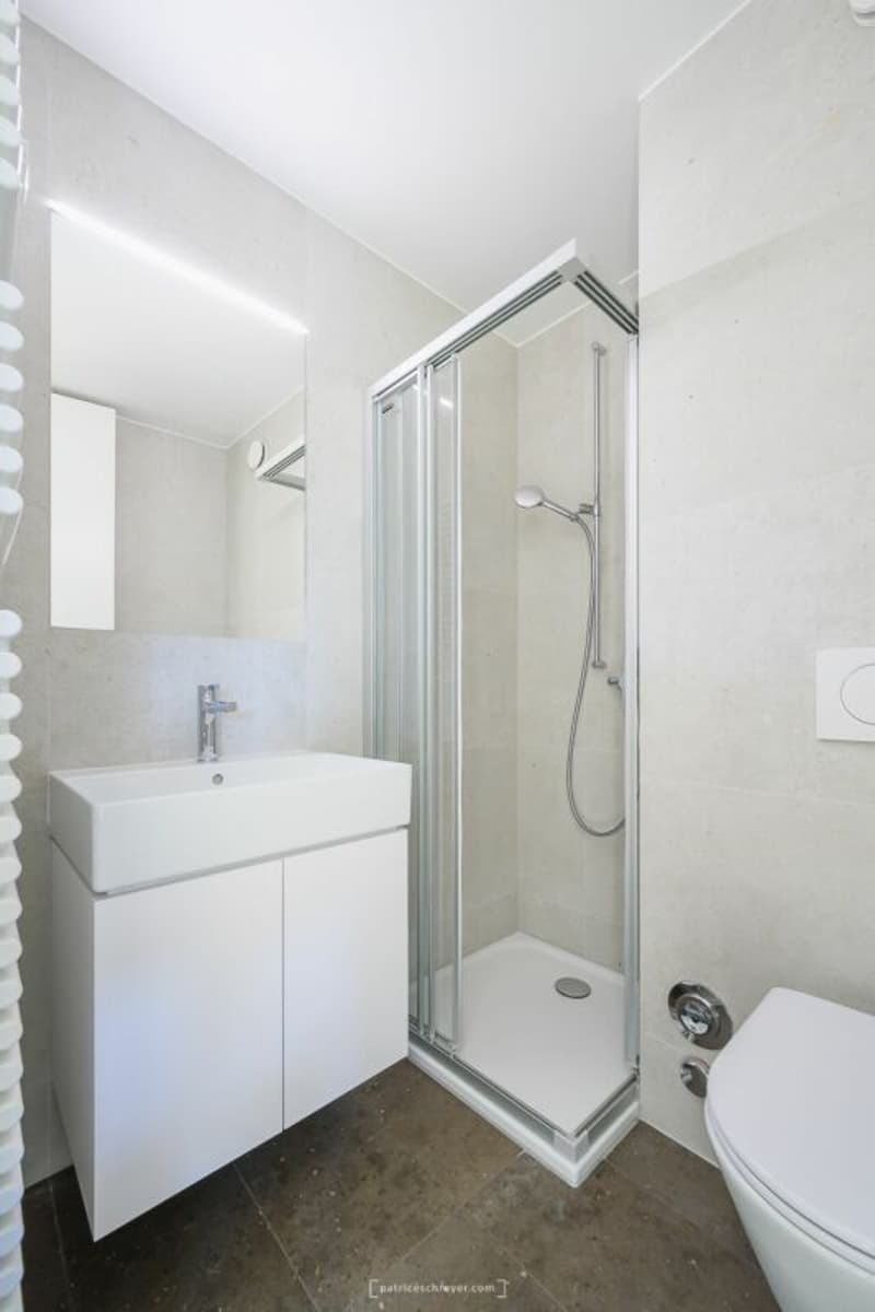 Beau studio dernièrement rénové (3)