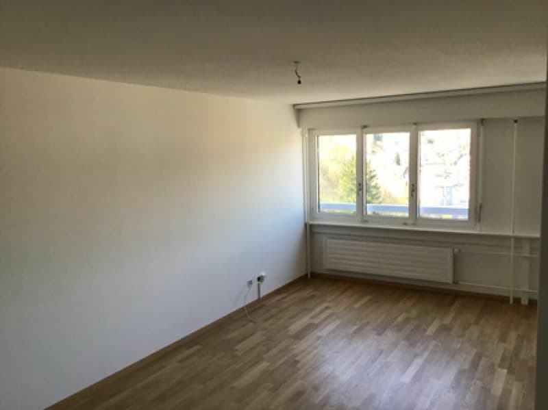 Bel appartement au centre-ville ! (1)