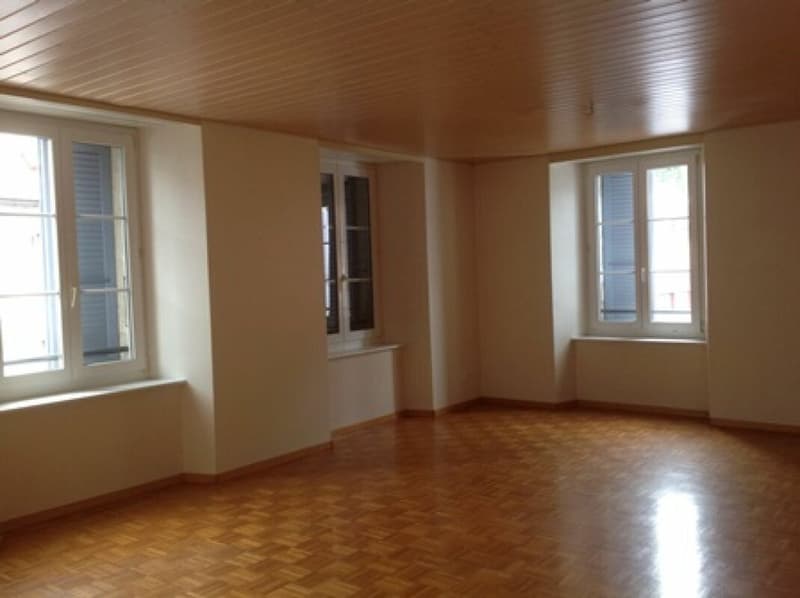 Appartement spacieux au centre ville (1)