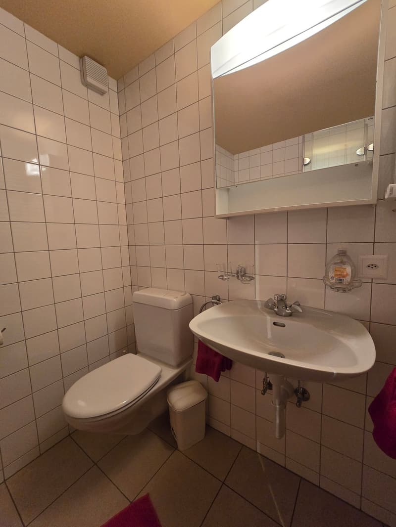 4.5 room apartment in Grächen in Chalet Orion (19)