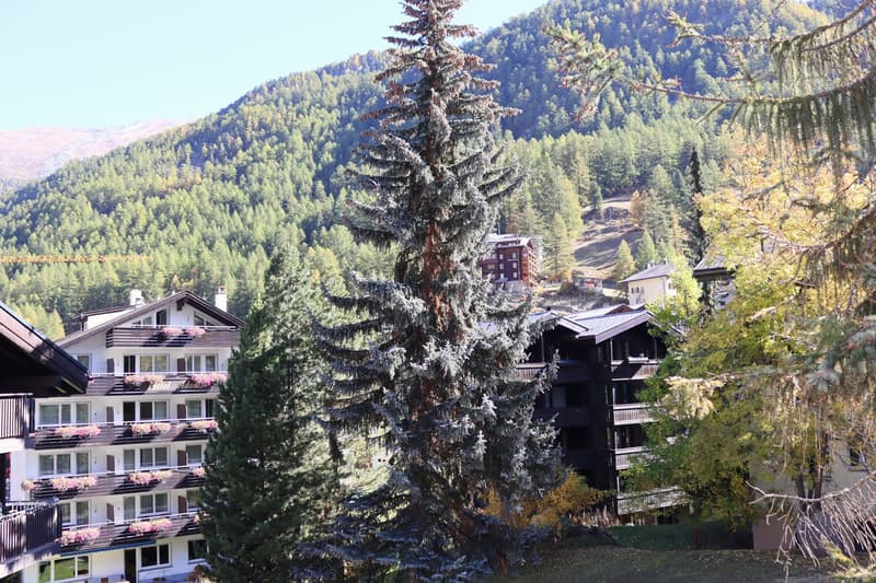 Charmante 2.5-Zimmer-Wohnung in Zermatt – Möbliert & Sofort Verfügbar (10)