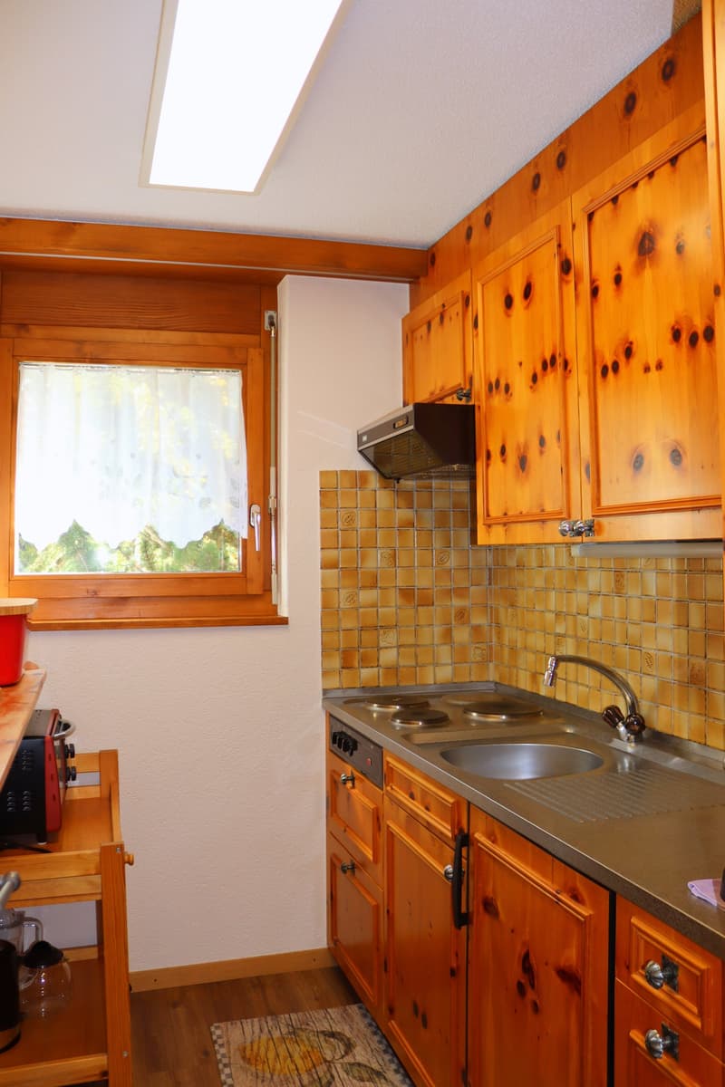 Charmante 2.5-Zimmer-Wohnung in Zermatt – Möbliert & Sofort Verfügbar (4)