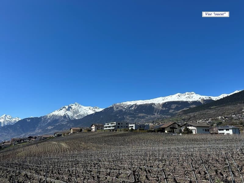 Vue ouest