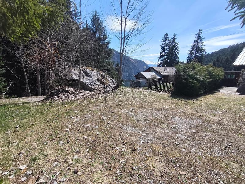 Chalet de caractère à Plan-Cernet – 4.5 pièces avec terrain (11)
