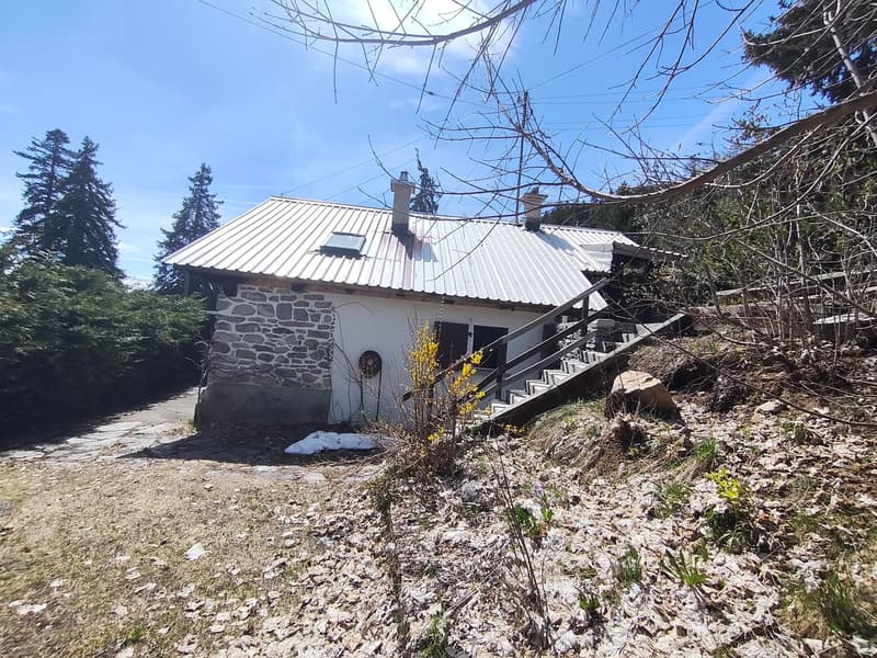 Chalet de caractère à Plan-Cernet – 4.5 pièces avec terrain (12)