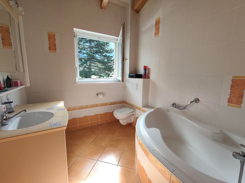 Villa de caractère à Saint-Maurice – 5.5 pièces avec vue et grand terrain (8)