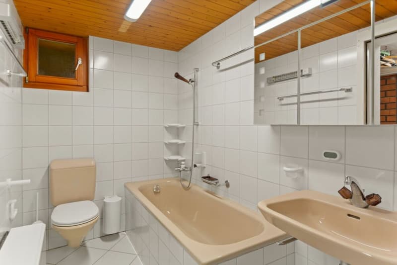 Les Savagnières, magnificent 4.5-room chalet in the heart of nature (14)