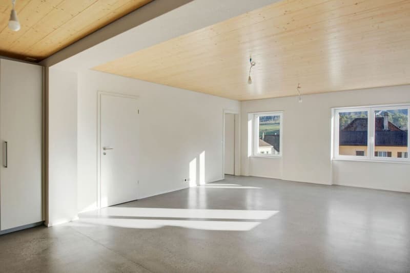 Corgémont, magnificent 3.5-room new apartment (3)