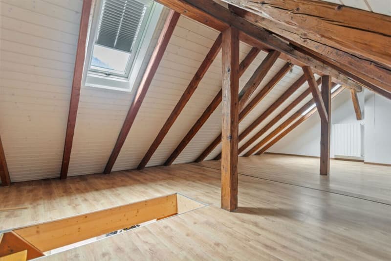 St-Imier, character house - Perfect for family and professional activity (13)