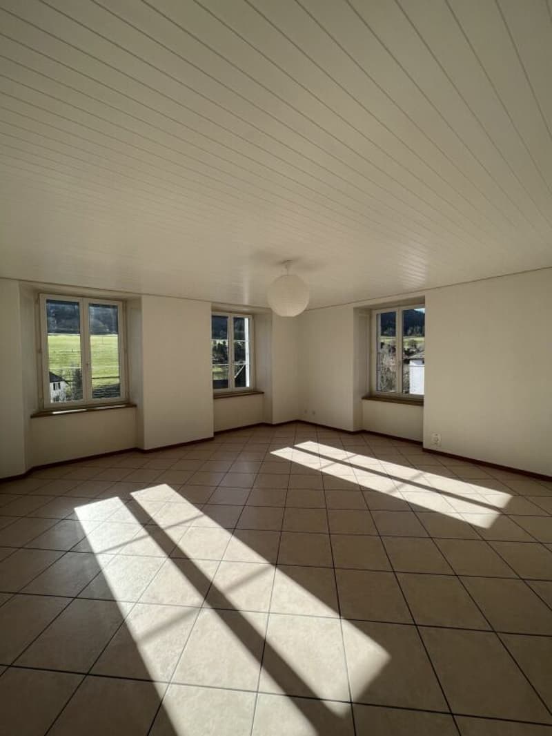 Beautiful 3.5-room apartment on the 2nd floor with modern kitchen in Sonvilier (4)