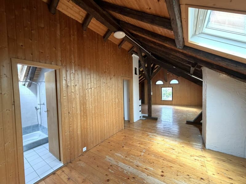 Porrentruy, rental building with 4 units - 6.65% yield (10)