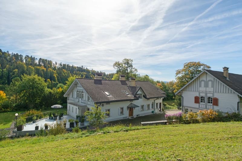 Außergewöhnliches Anwesen in einzigartiger grüner Umgebung nahe La Chaux-de-Fonds (3)