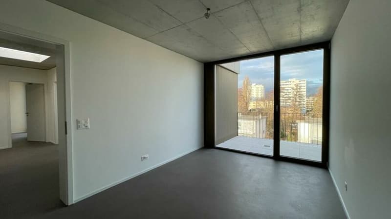 Nidau, splendide duplex haut standing 5.5 pces - 205 m2 avec parking et jardin commun (6)