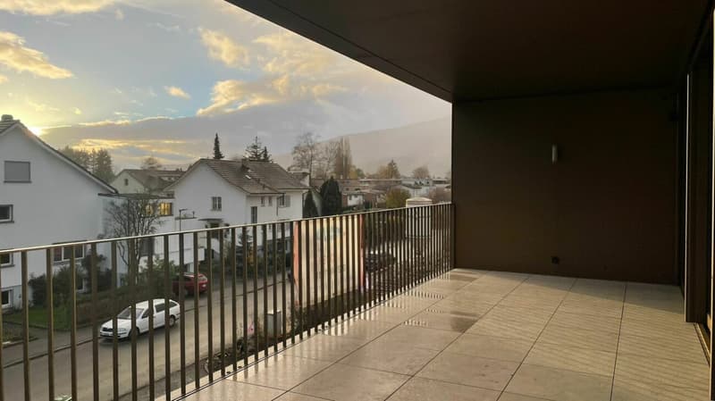 Nidau, splendide duplex haut standing 5.5 pces - 205 m2 avec parking et jardin commun (1)