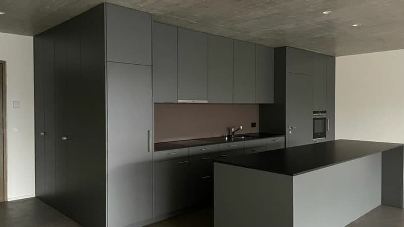 Nidau, splendide duplex haut standing 5.5 pces - 205 m2 avec parking et jardin commun (2)