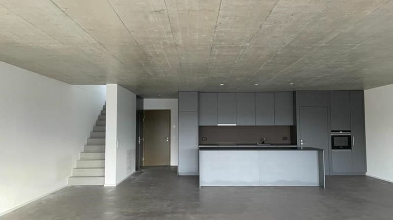 Nidau, splendide duplex haut standing 5.5 pces - 205 m2 avec parking et jardin commun (4)