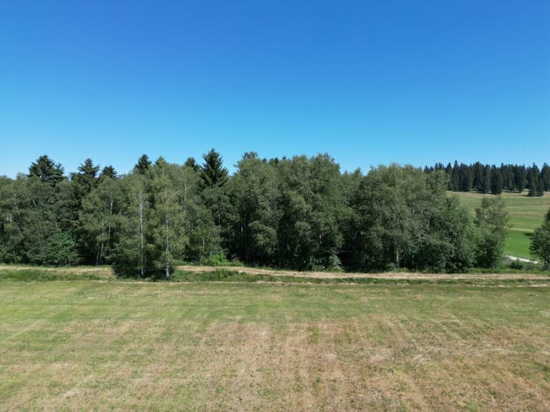 Le Cerneux-Péquignot, chalet de loisirs dans avec forêt - 2000m2 (6)
