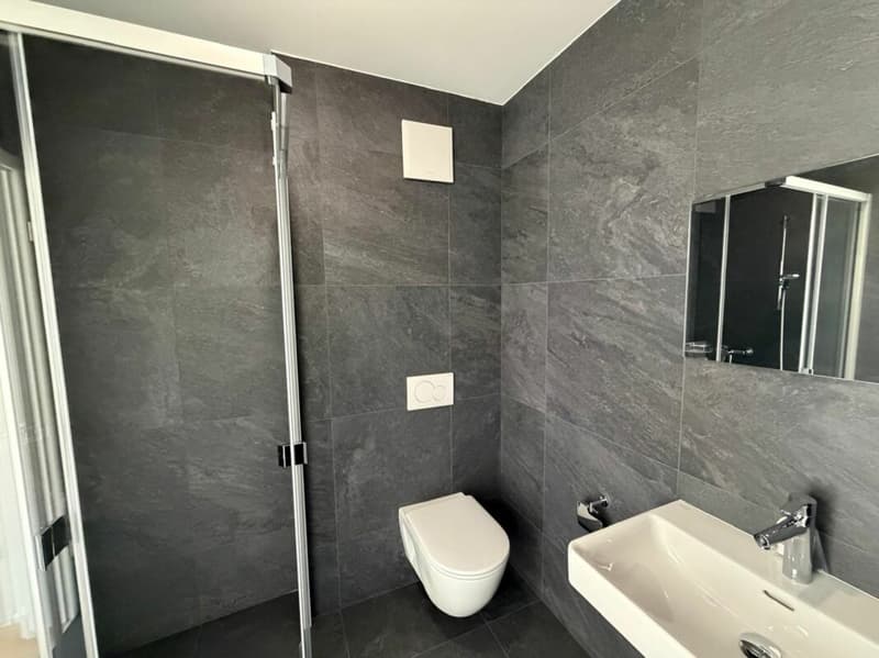 Villeret, prächtige 4.5-Zimmer-Wohnung mit Terrasse und privatem Garten (8)