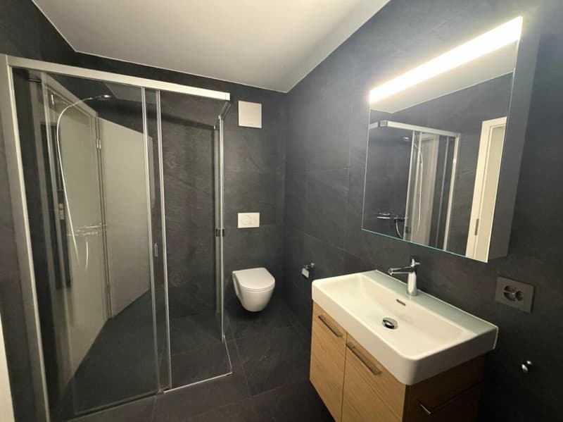 Villeret, prächtige 4.5-Zimmer-Wohnung mit Terrasse und privatem Garten (12)