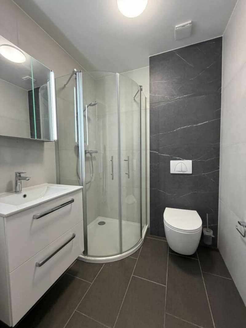 St-Imier, joli et lumineux appartement rénové de 4.5 pces au 2ème (6)