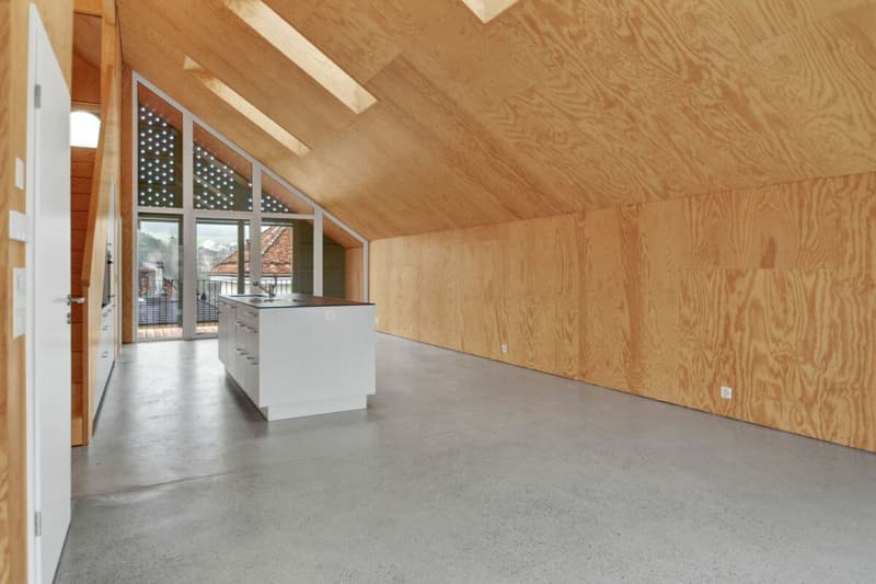 Corgémont, duplex d'exception 3.5 pièces en attique (4)