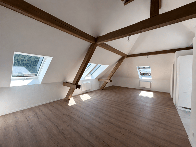 St-Imier, magnifique appartement neuf de 2 pièces de type loft (3)