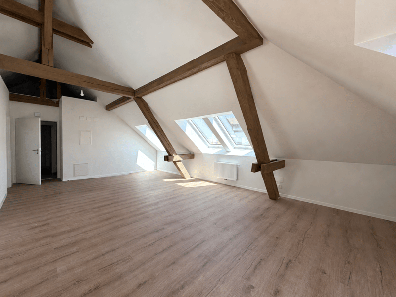 St-Imier, magnifique appartement neuf de 2 pièces de type loft (4)