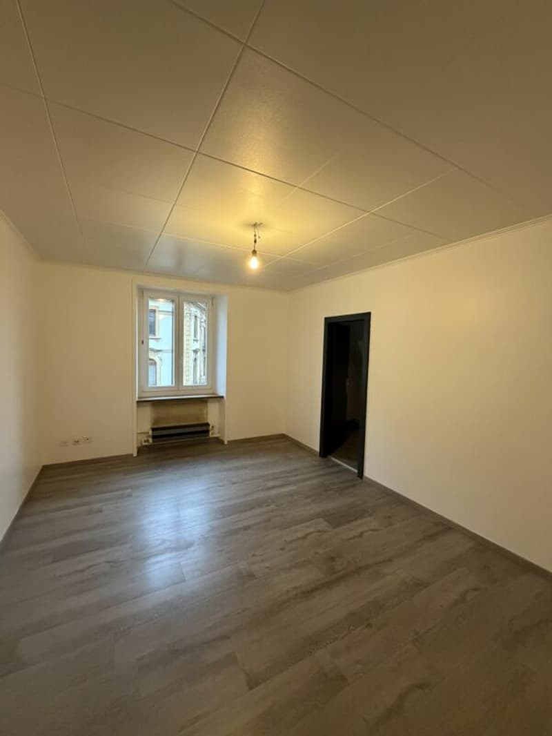 Chaux-de-Fonds, joli appartement rénové de 1.5 pièces (3)