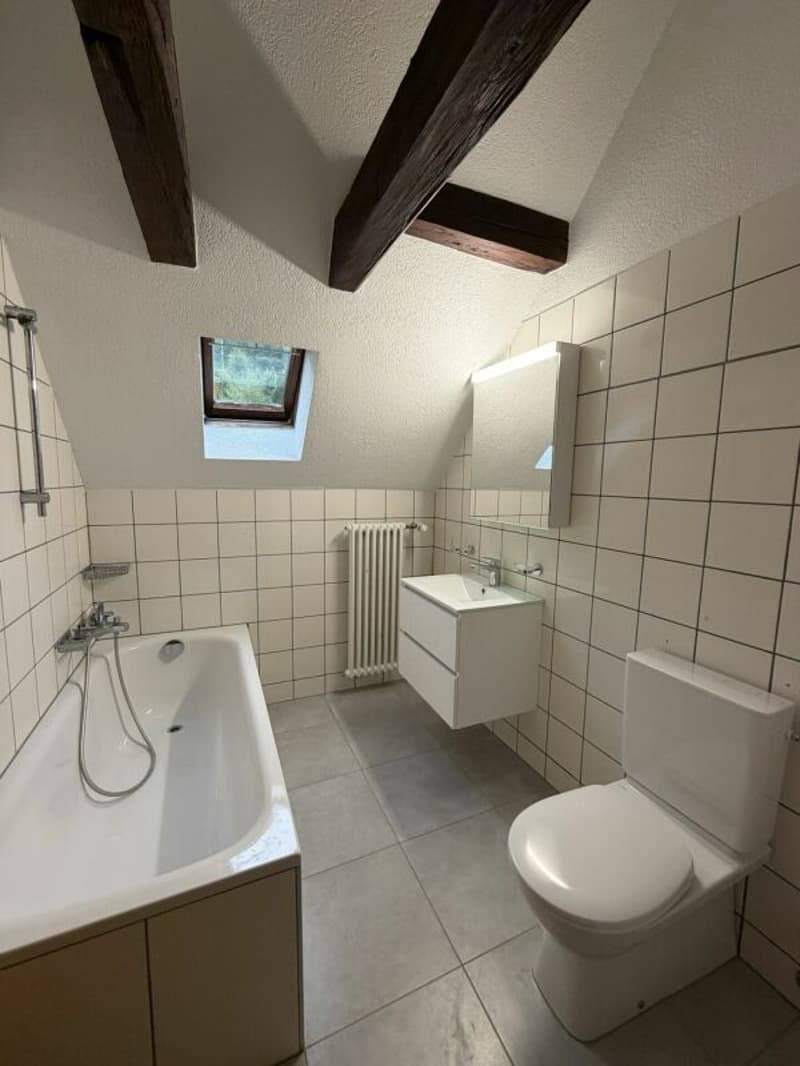 Le Locle, bel appartement renové de 2.5 pièces (6)