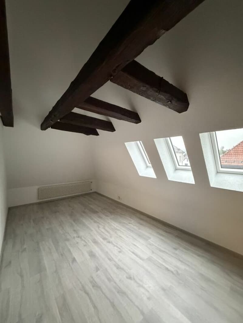 Le Locle, bel appartement renové de 2.5 pièces (3)