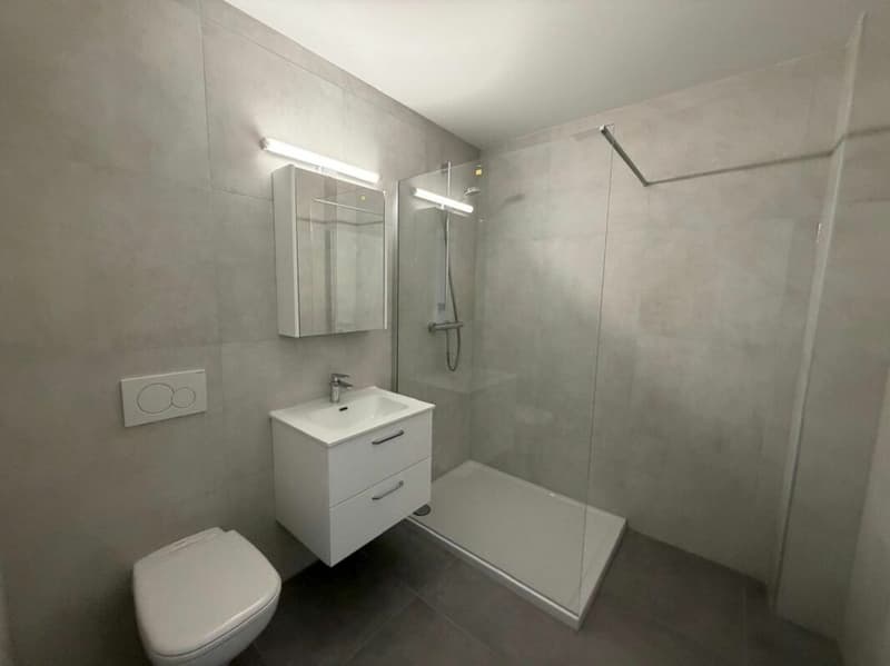 St-Imier, superbe studio NEUF avec ascenseur (3)