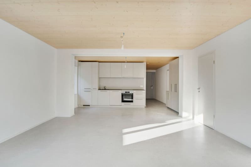 Corgémont, magnifique appartement de 3.5 pièces NEUF (5)