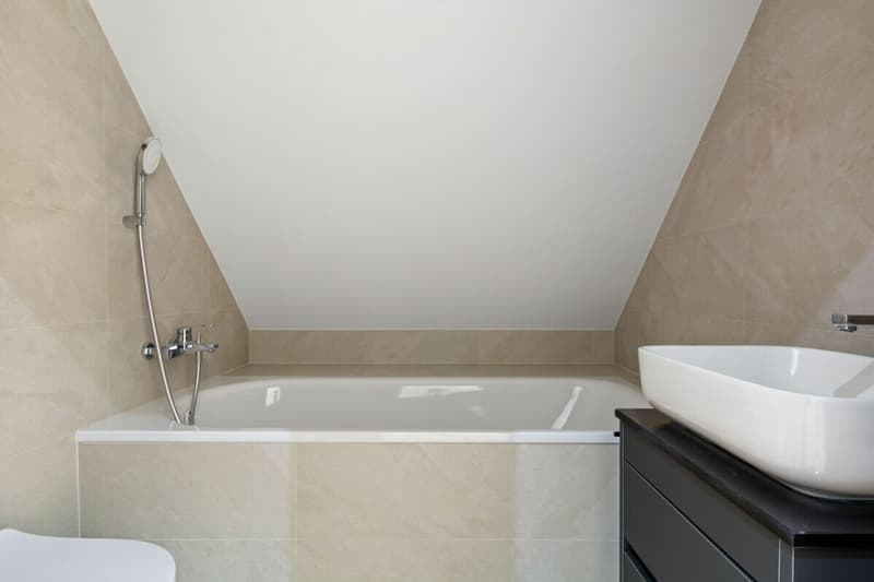Courtelary, magnifique appartement de 4.5 pièces dans les combles (12)