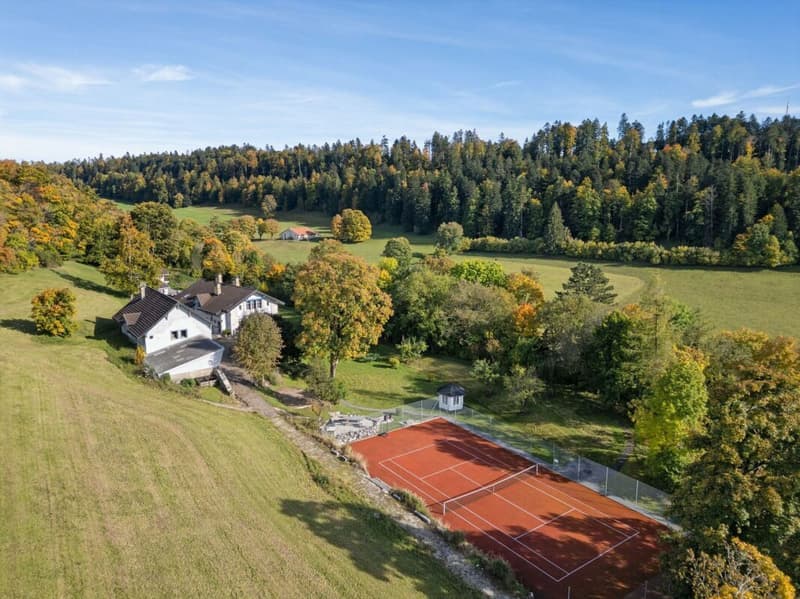 La Chaux-de-Fonds, grange de caractère avec un potentiel de transformation exceptionnel (8)