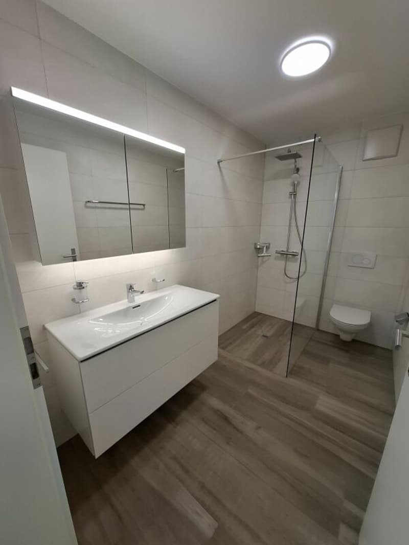 2.5 Zi-Attika Wohnung in einem NEUBAU mit grosser Terrasse 52 m², Zweitvermietung (4)