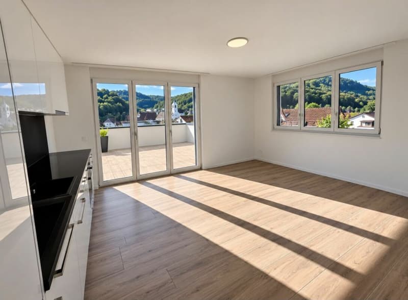 2.5 Zi-Attika Wohnung in einem NEUBAU mit grosser Terrasse 52 m², Zweitvermietung (3)