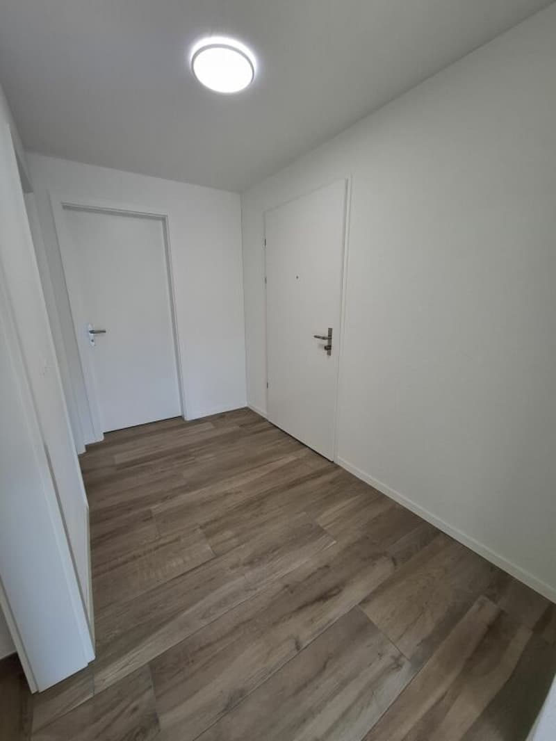 2.5 Zi-Attika Wohnung in einem NEUBAU mit grosser Terrasse 52 m², Zweitvermietung (9)