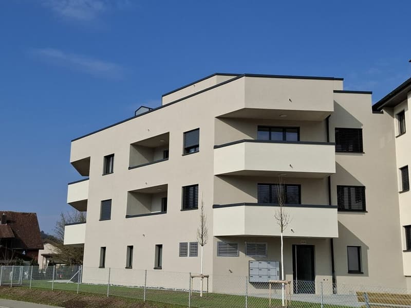2.5 Zi-Attika Wohnung in einem NEUBAU mit grosser Terrasse 52 m², Zweitvermietung (1)