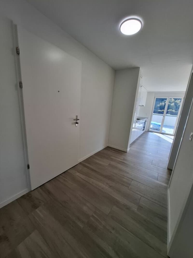 2.5 Zi-Attika Wohnung in einem NEUBAU mit grosser Terrasse 52 m², Zweitvermietung (9)