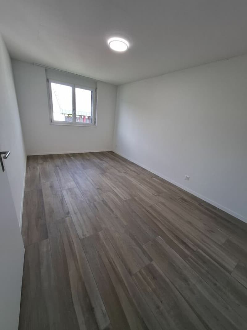 2.5 Zi-Attika Wohnung in einem NEUBAU mit grosser Terrasse 52 m², Zweitvermietung (7)