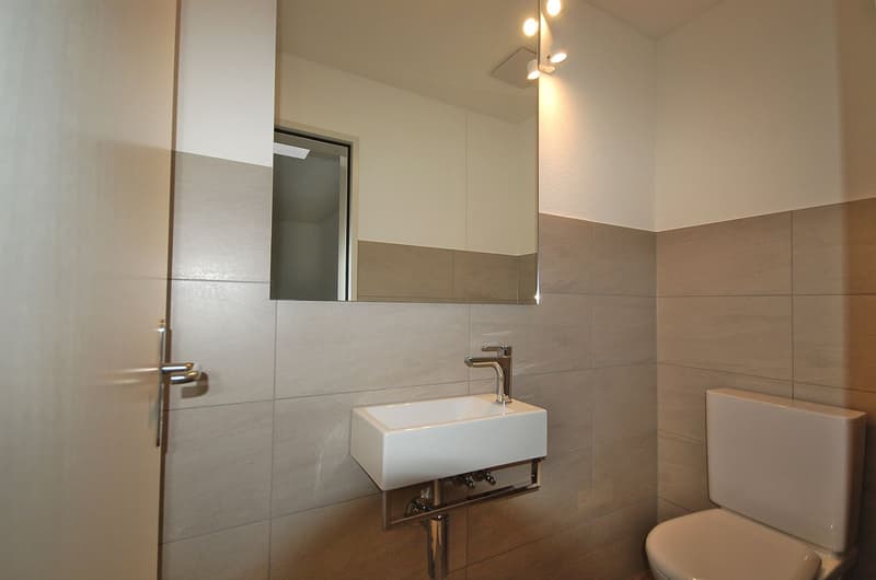 Spaziosa maisonette di 5,5 locali con terrazza (15)