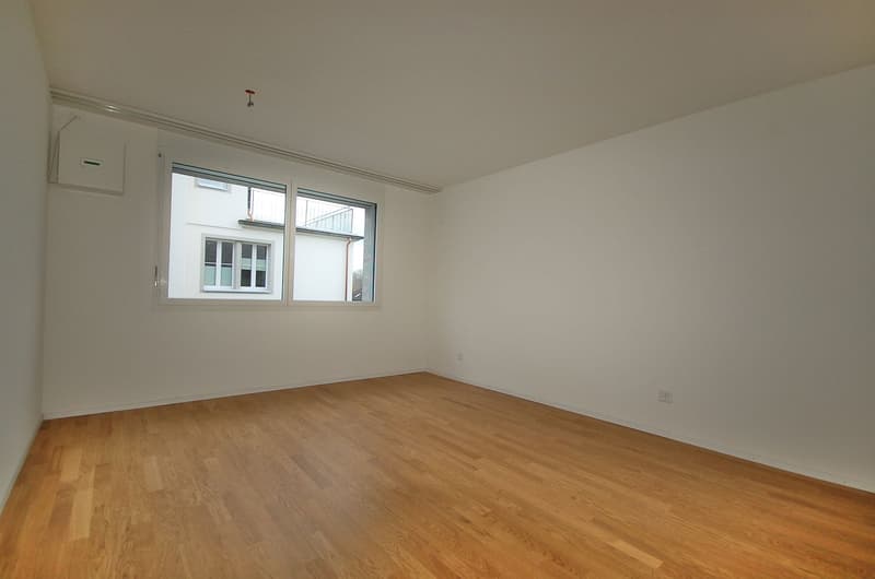 Spaziosa maisonette di 5,5 locali con terrazza (13)