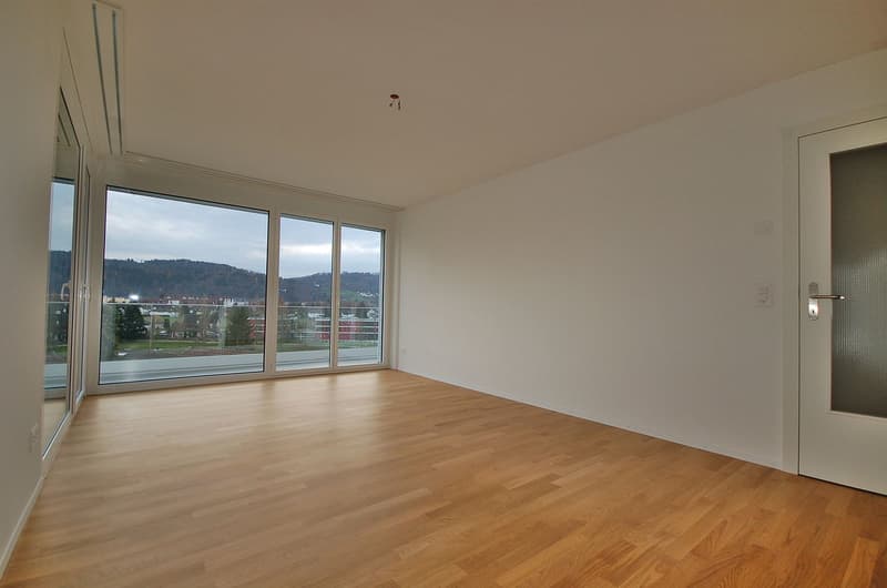 Spaziosa maisonette di 5,5 locali con terrazza (10)